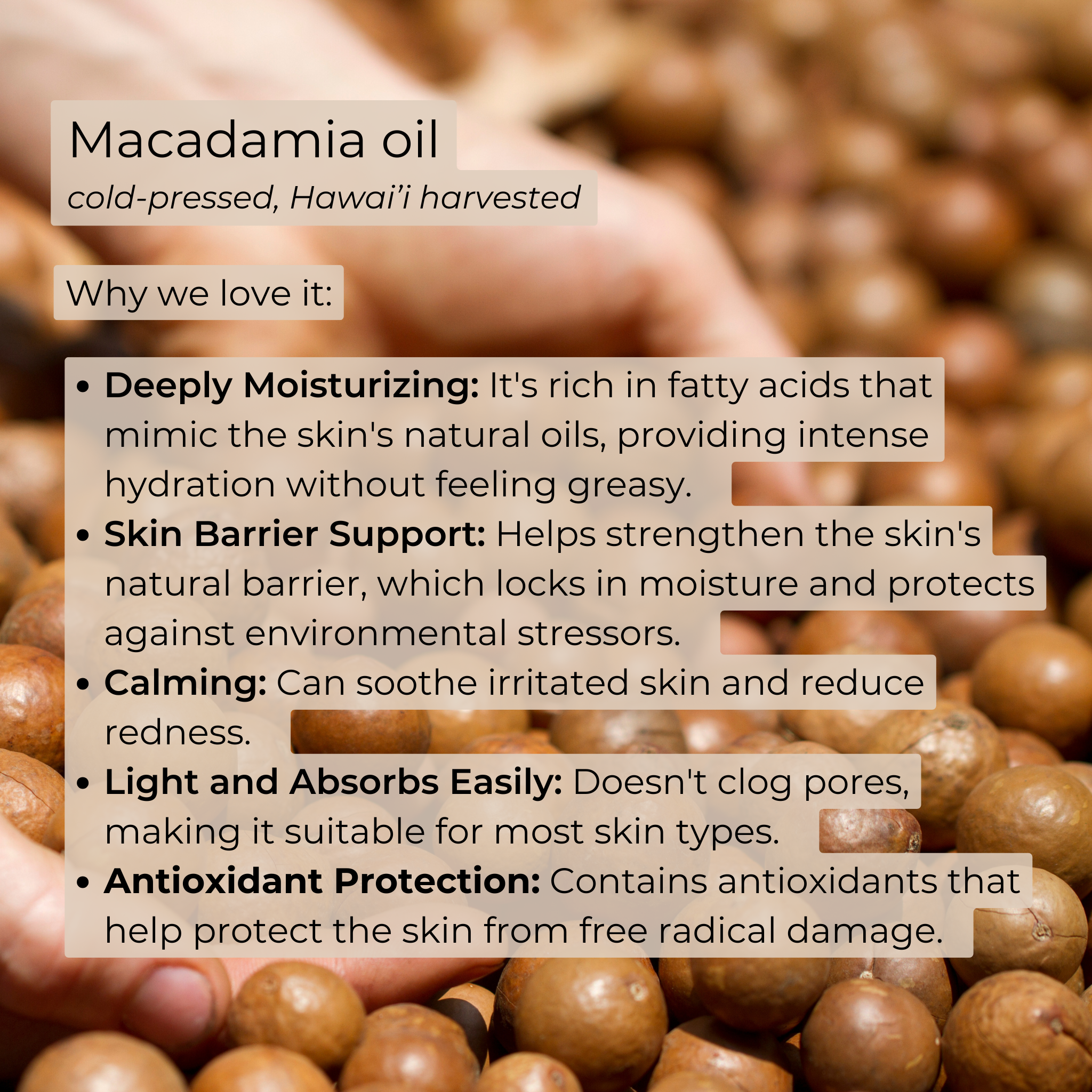 Kula Essentials - Wholesale Facial Serum/Concentrate - Midnight Magic Moisturizing Balm6