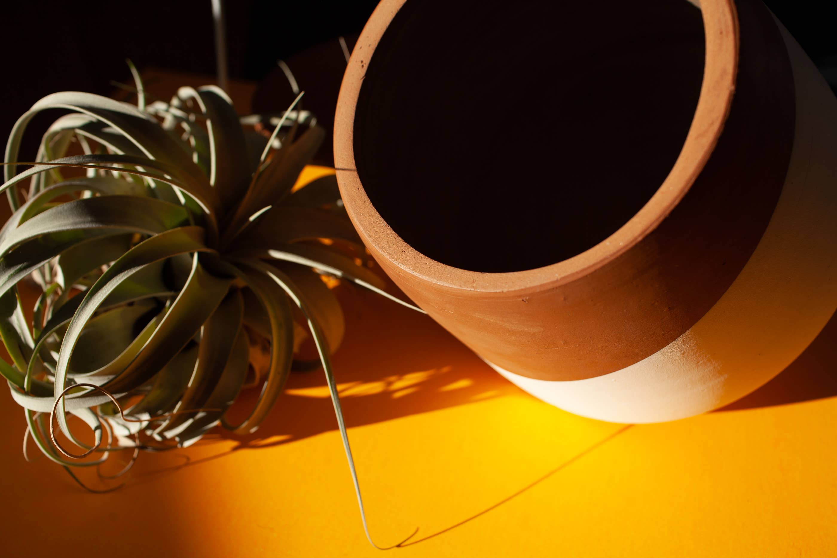 Beluga Supply Company - Wholesale Plant Pot - Terra Cotta Planter Pot w/ Metal Stand (Large)4