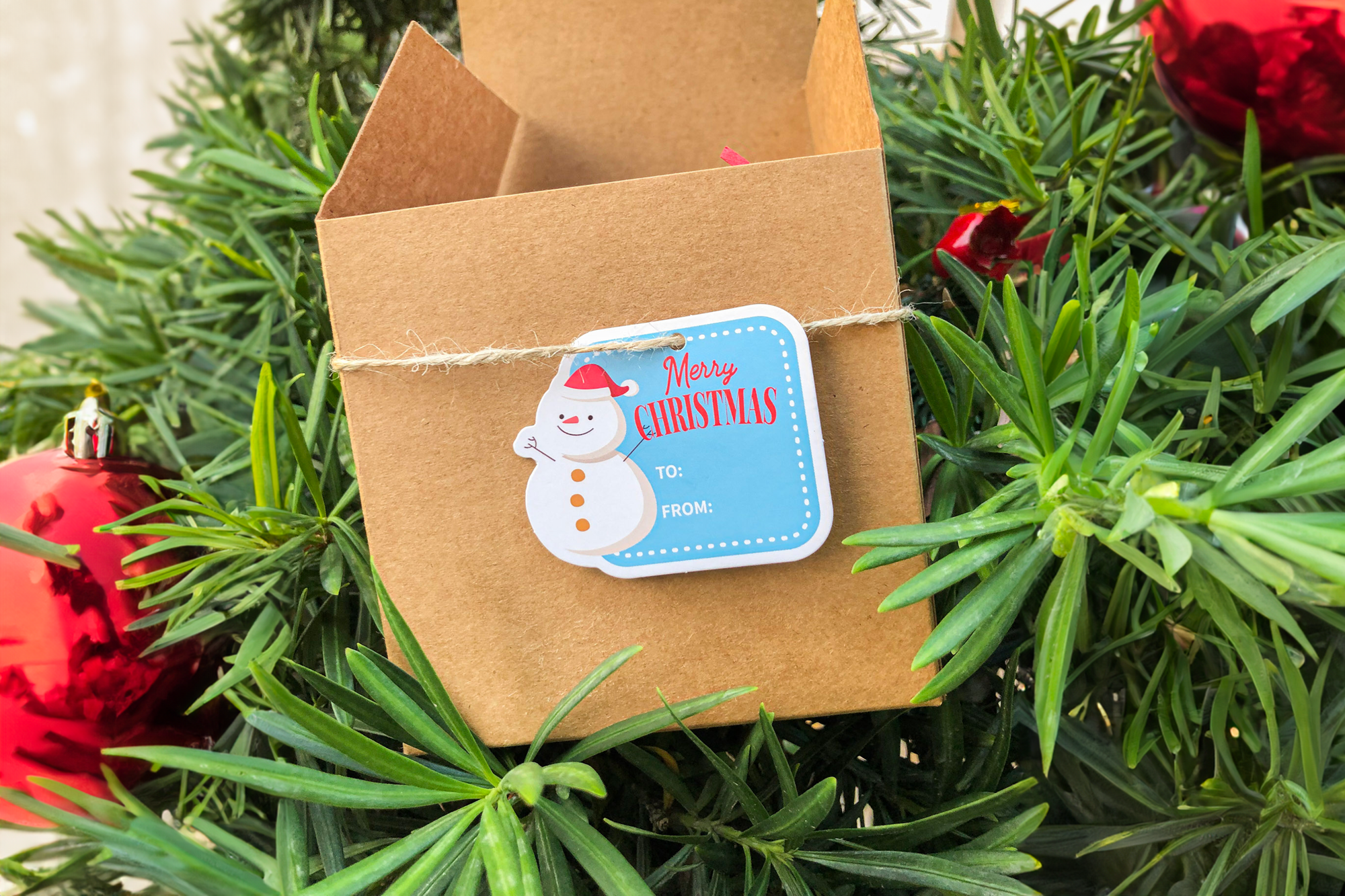 Plantish - Wholesale Gift Tag Label - Frosty Blue Christmas Tag, Sticker | Christmas Card & Label14