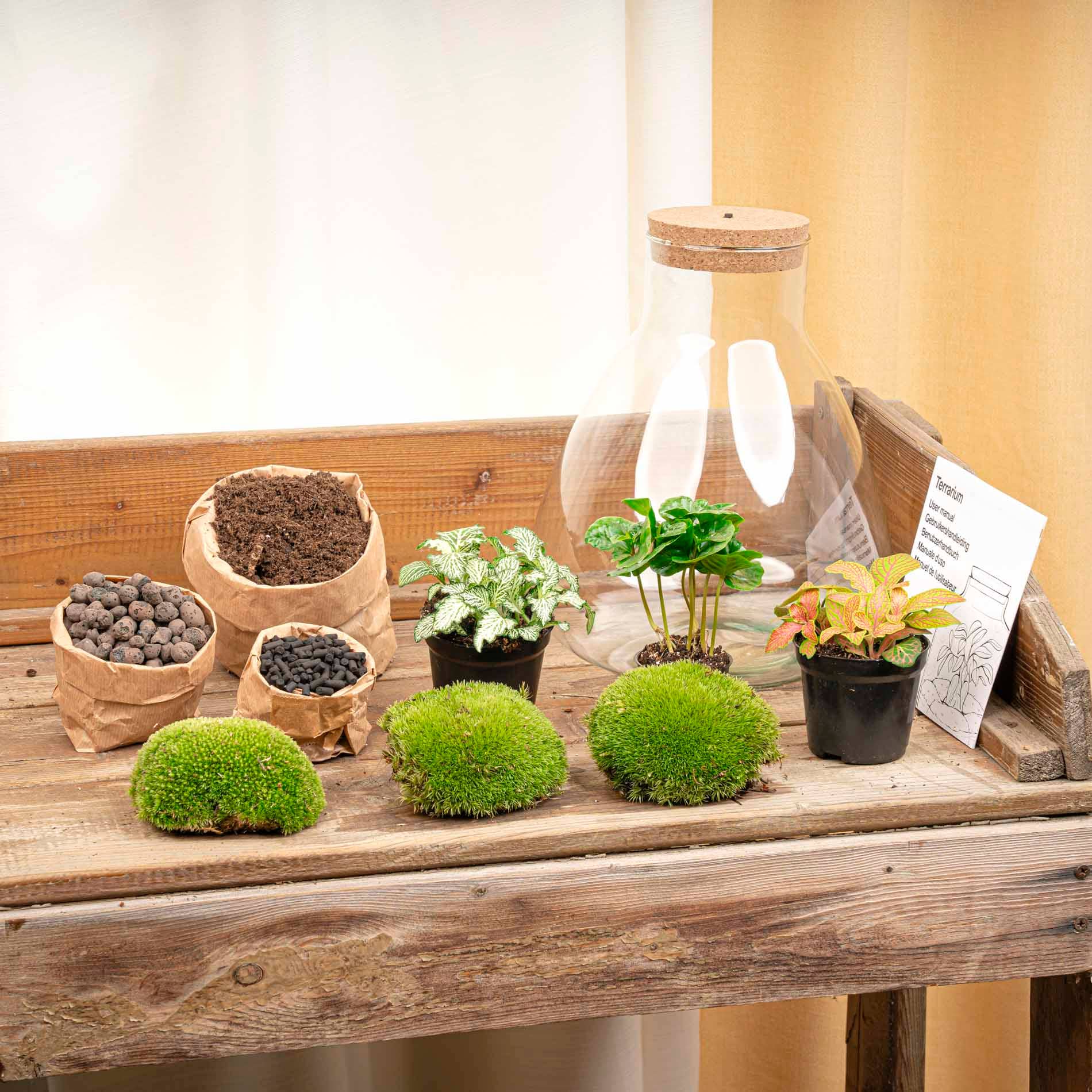 Trendhero.nl/b2b - Wholesale Terrarium - Terrarium Sam - Ø 24,5 cm ↑ 30 cm - Relatiegeschenk3