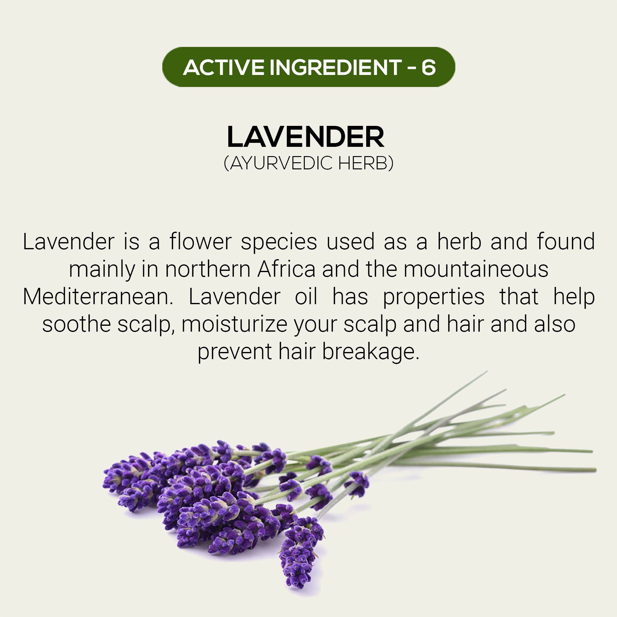 Rthvi - Wholesale Hair Serum - Restore Advanced Hair Thickening Serum7