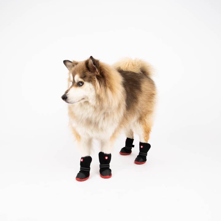 Bottes d'hiver Ren pour la vente par Silver Paw