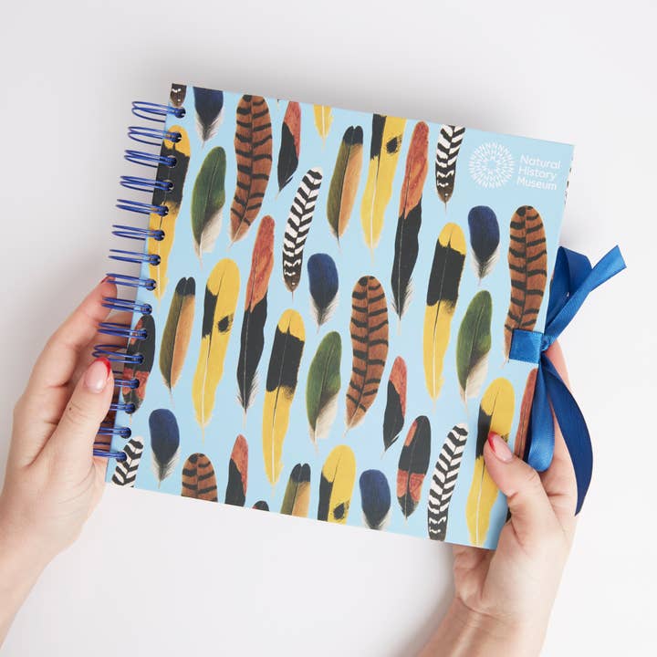 West Design Products - Wholesale Scrapbook - Natural History Museum Hardback Scrapbook, Feathers, 8 x 8"