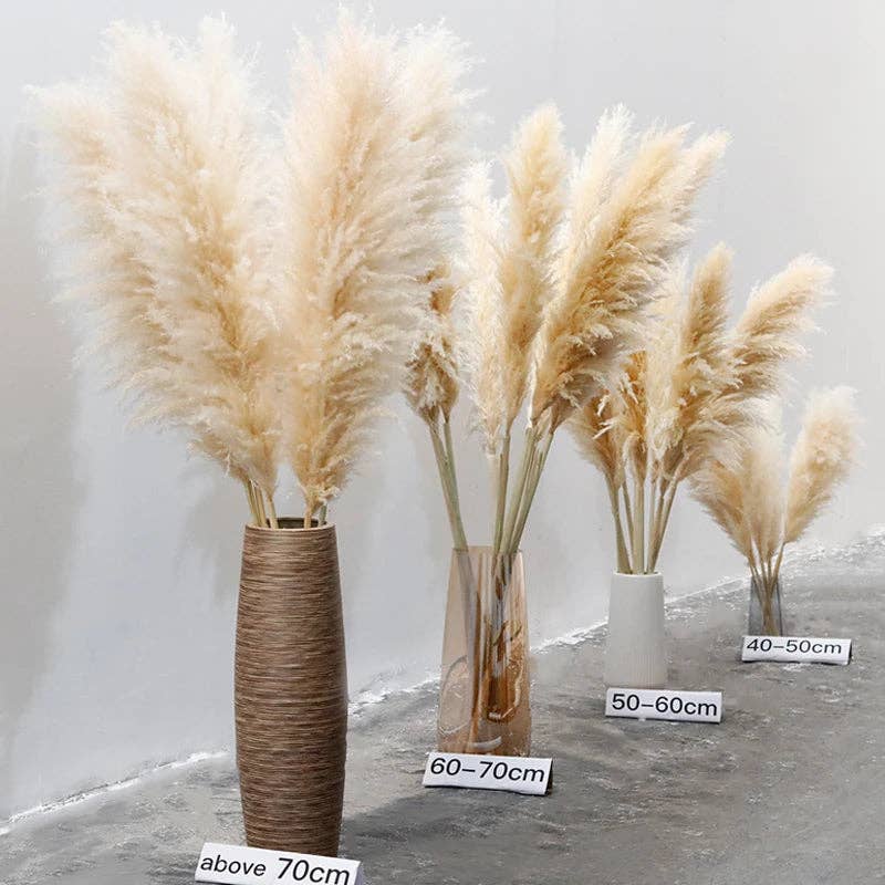 BRECK + FOX - Wholesale Dried/Pressed Flowers - Dried Natural Grass Plumes 10-Piece Set11