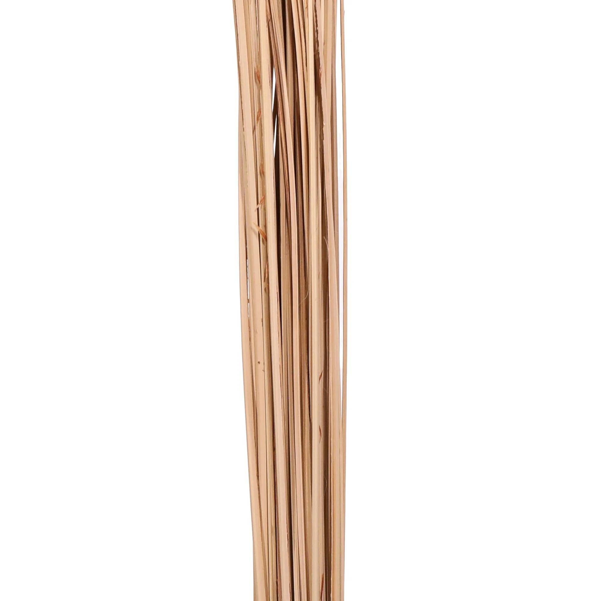 TF Publishing - Paper Goods - Wholesale Gedroogde/geperste bloemen - Curly Ting bundel van 35 stelen 90-120 cm natuurlijk1