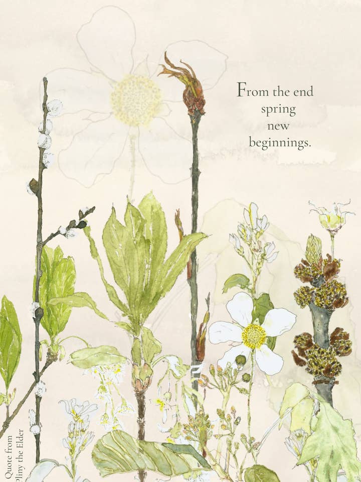 New Begginings, greeting card for wholesale by Leafy Lexicon