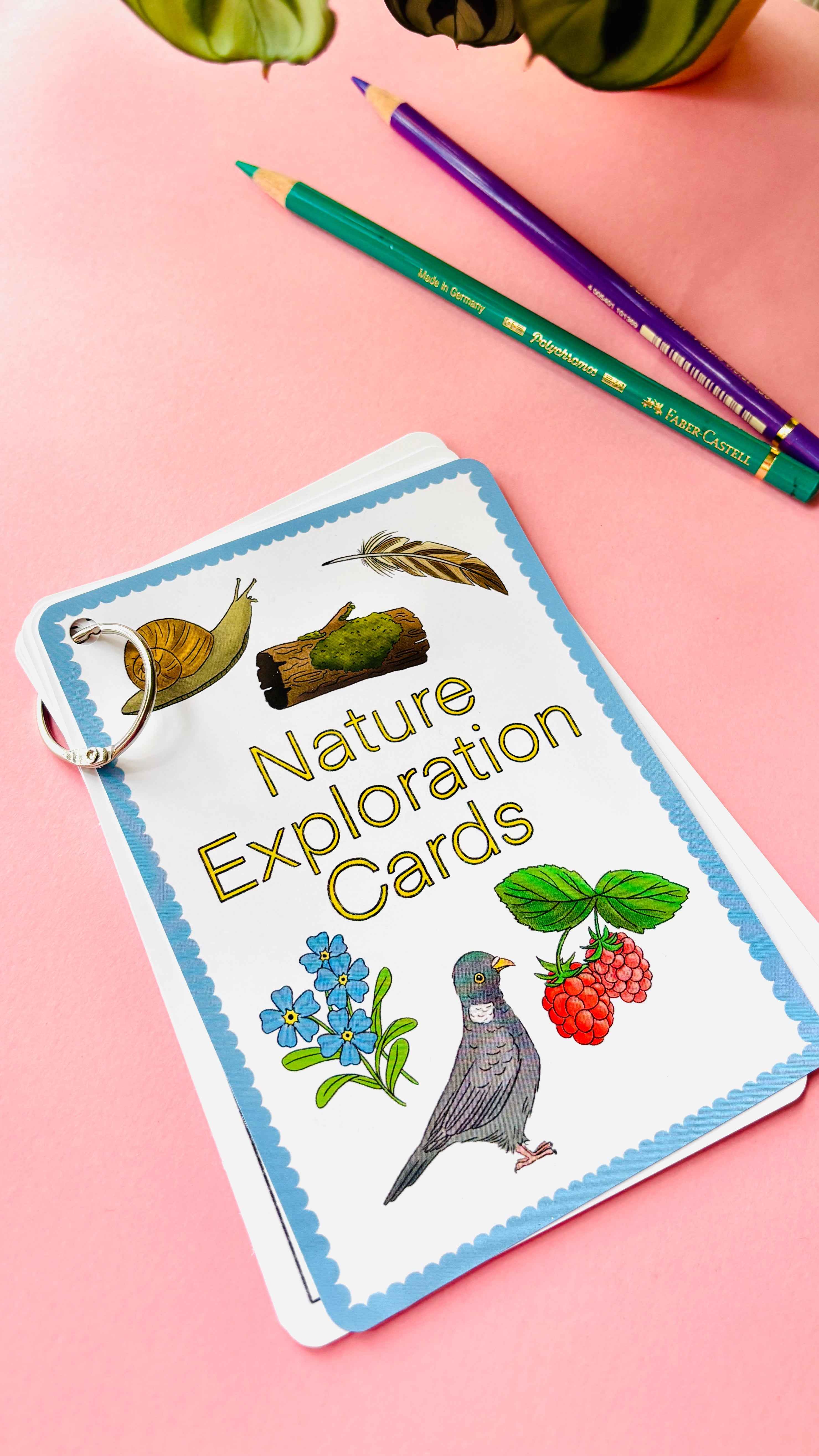 Pixiecraft - Wholesale Learning Cards - Kids & Baby - Nature Explorer Scavenger Hunt Cards- Illustrated Educational Activity Cards for Kids7