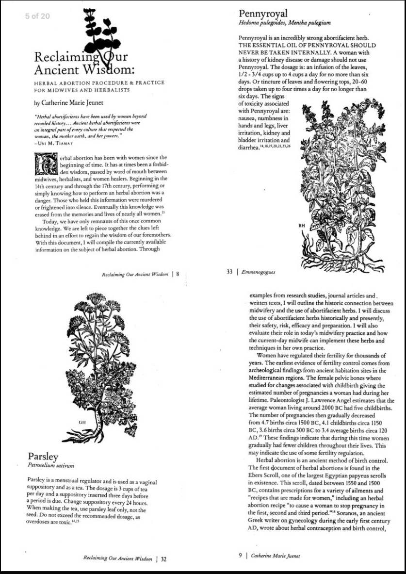 Microcosm Publishing & Distribution - Wholesale Medical Health - Reclaiming Our Ancient Wisdom: Midwives & Herbalists (Zine)2