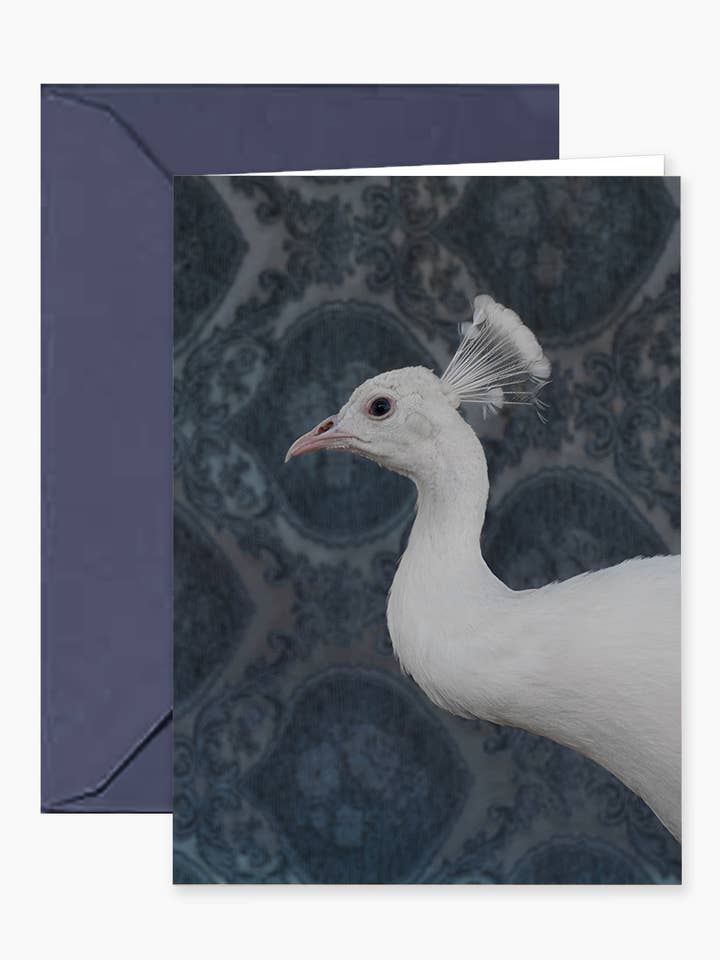 White Peacock No. 9490 Mini Single Gift/Notecard for wholesale by CLAIRE ROSEN