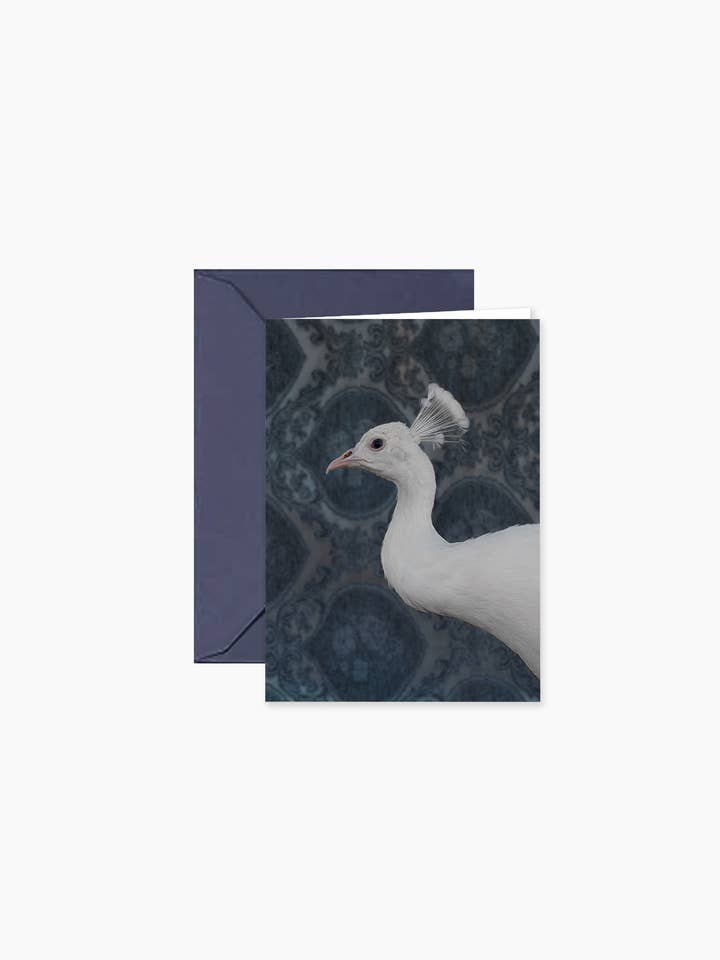 Mini tarjeta de regalo/nota individual White Peacock No. 9490 para venta al por mayor de CLAIRE ROSEN