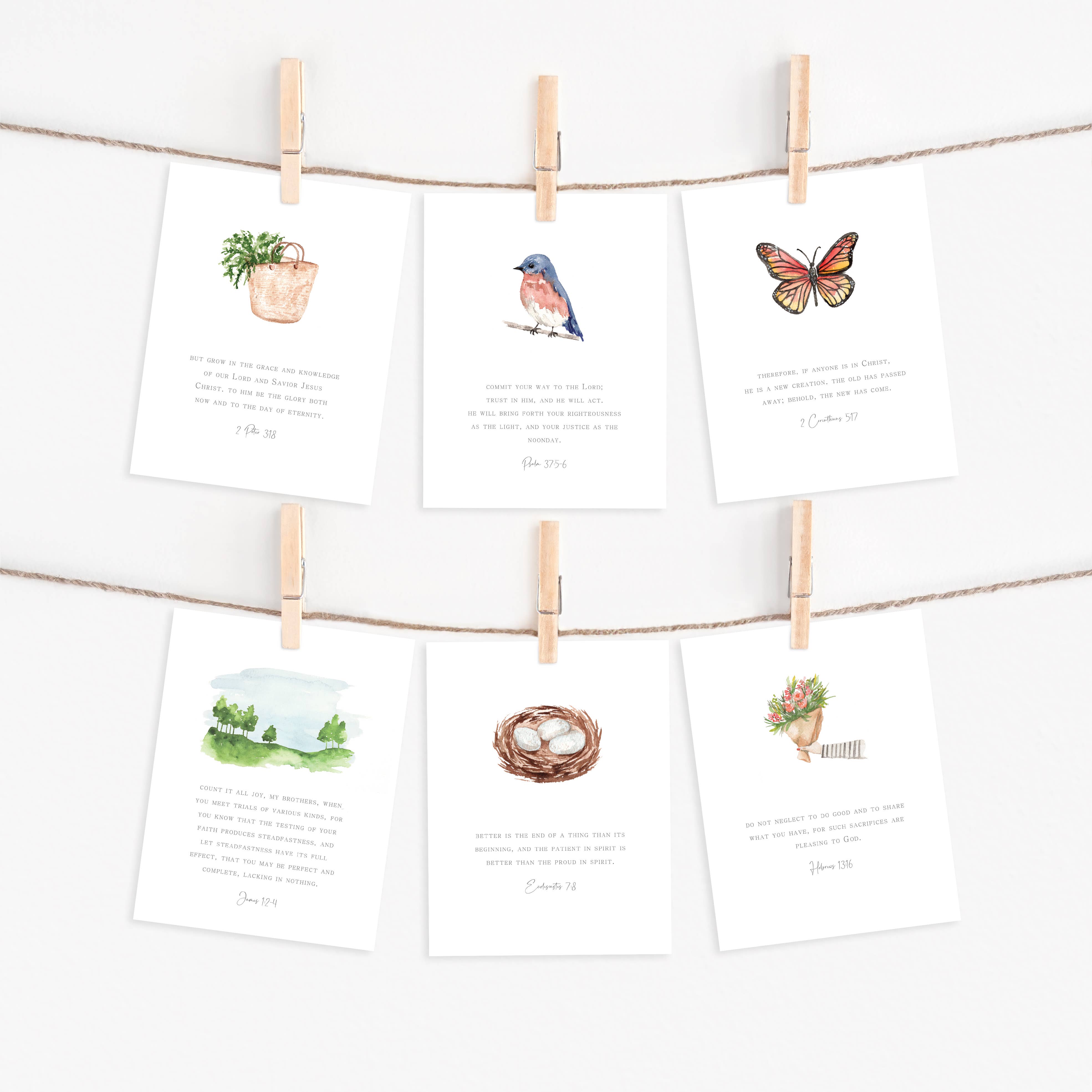 Me and Mary Shop - Wholesale Stationery/Notecard Set - Watercolor Bible Scripture Cards – SPRING 1