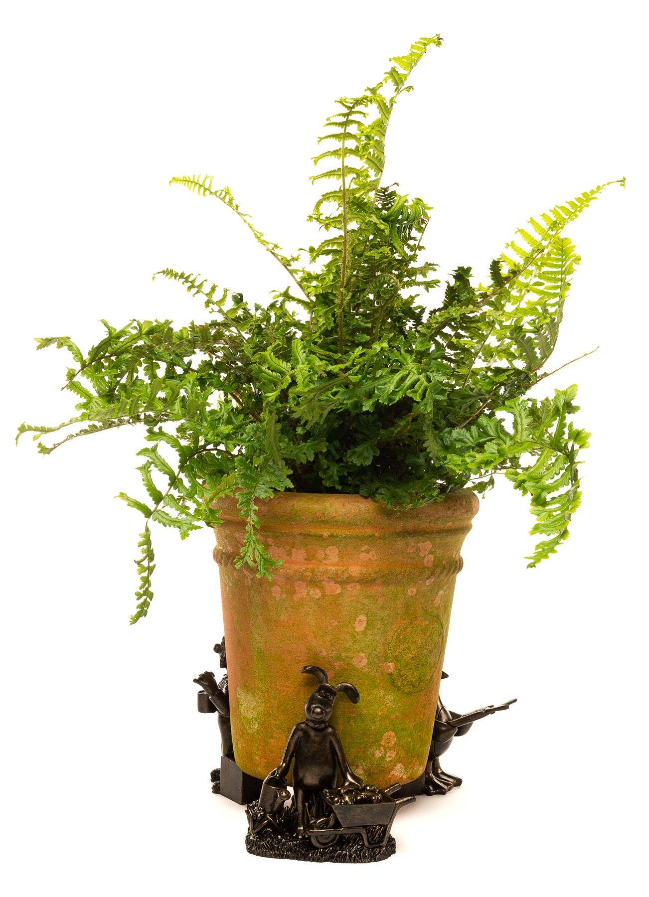 Jardinopia US - Wholesale Plant Pot - Wallace and Gromit Plant Pot Feet - Wallace, Gromit and Feathers Mcgraw4