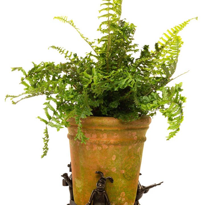 Jardinopia US - Wholesale Plant Pot - Wallace and Gromit Plant Pot Feet - Wallace, Gromit and Feathers Mcgraw4