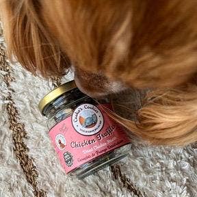 Cooka's Cookies - Wholesale Pet Treats - Dog - Chicken Truffles - Air-dried Chicken Hearts4