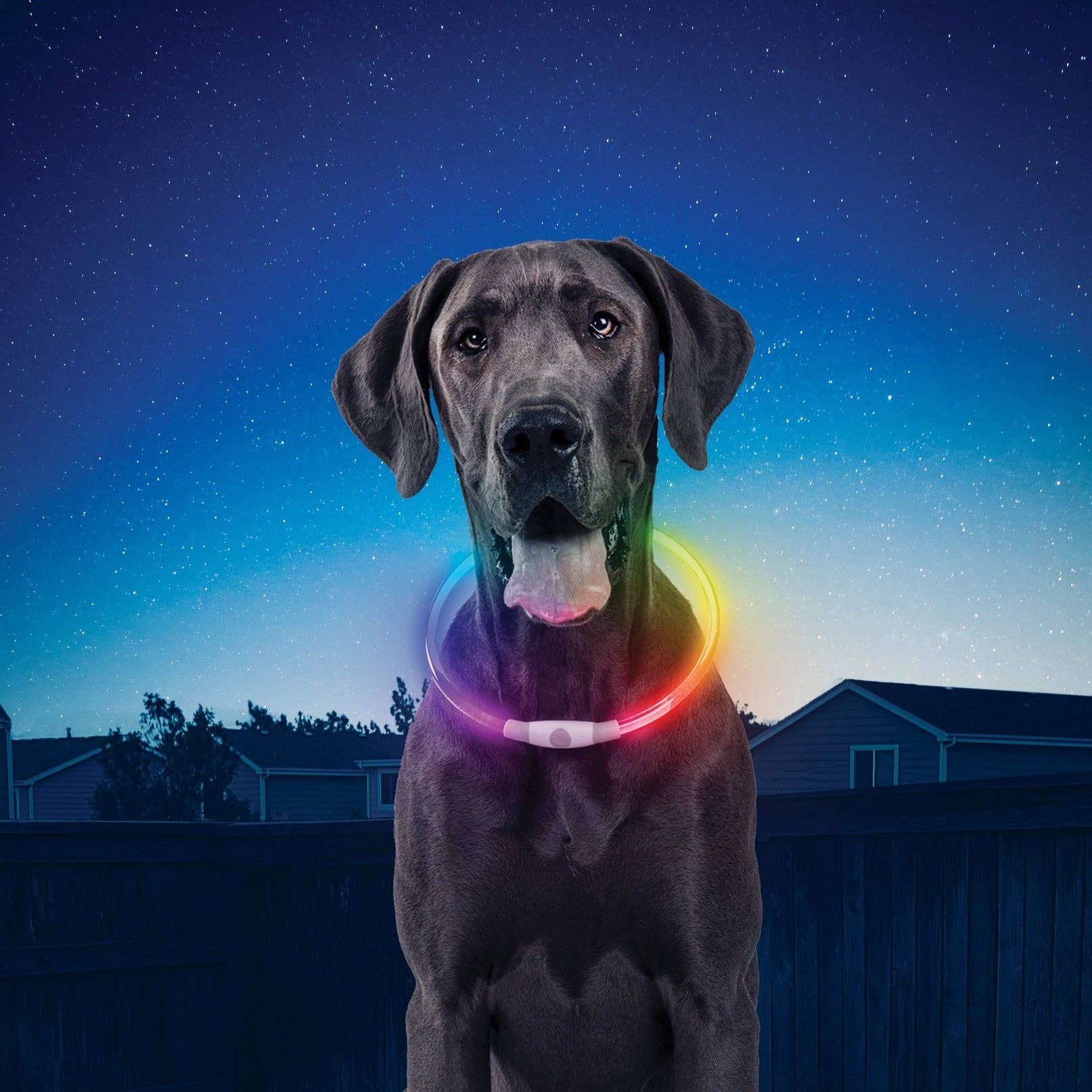 Mr. Peanut's - Wholesale Pet Collar - Dog - Nite Ize NiteHowl™️ LED Safety Necklace3