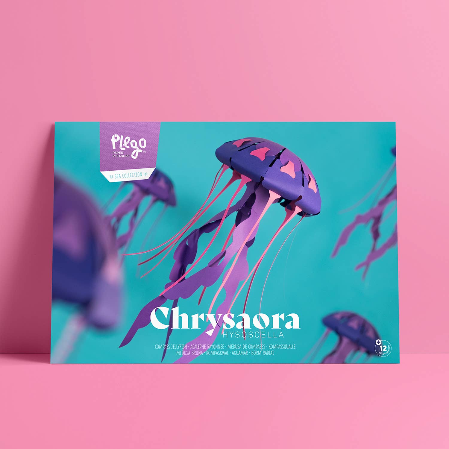 PLEGO - Wholesale DIY Craft Kit - CHRYSAORA HYSOCELLA - paper jellyfish