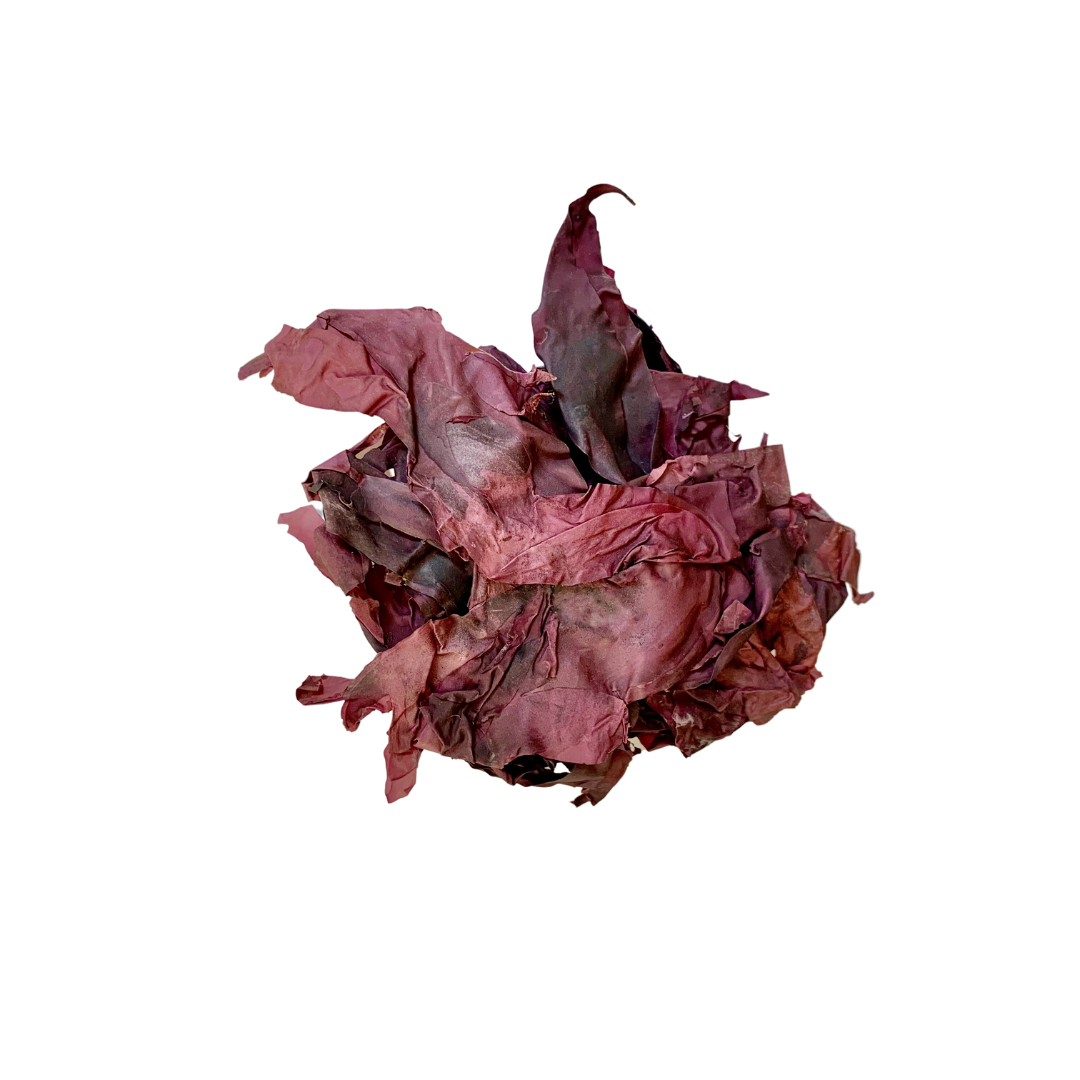 Ocean's Balance - Wholesale Dried/Dehydrated Vegetables - Organic Whole Leaf Dulse2