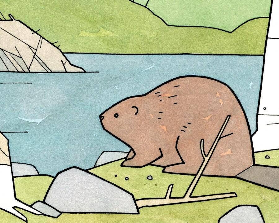 Studio Tuesday - Wholesale Art Print - Kids & Baby - Beaver Illustration Art Print, Nature Nursery Wall Art3
