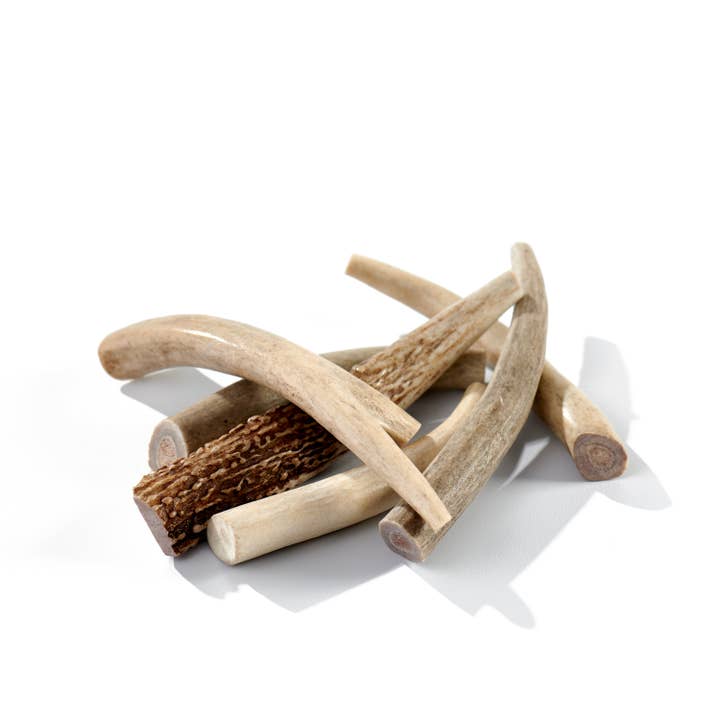 Deer Antler Dog Chews Medium, 6 Pack for wholesale by Buck Bone Organics
