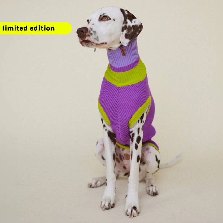 VIOLA SPRING THE GLOW JUMPER - Neon Dog Sweater - (Viola Spring) for wholesale on Faire1
