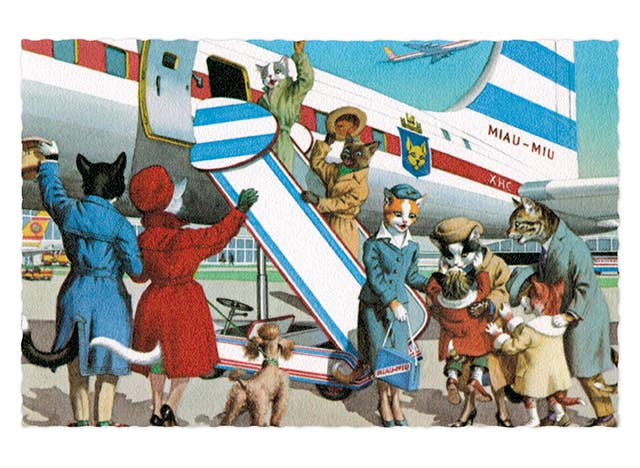 Laughing Elephant - Wholesale Postcard - Delightfully Dressed Cats - Everyday Boxed Postcards34