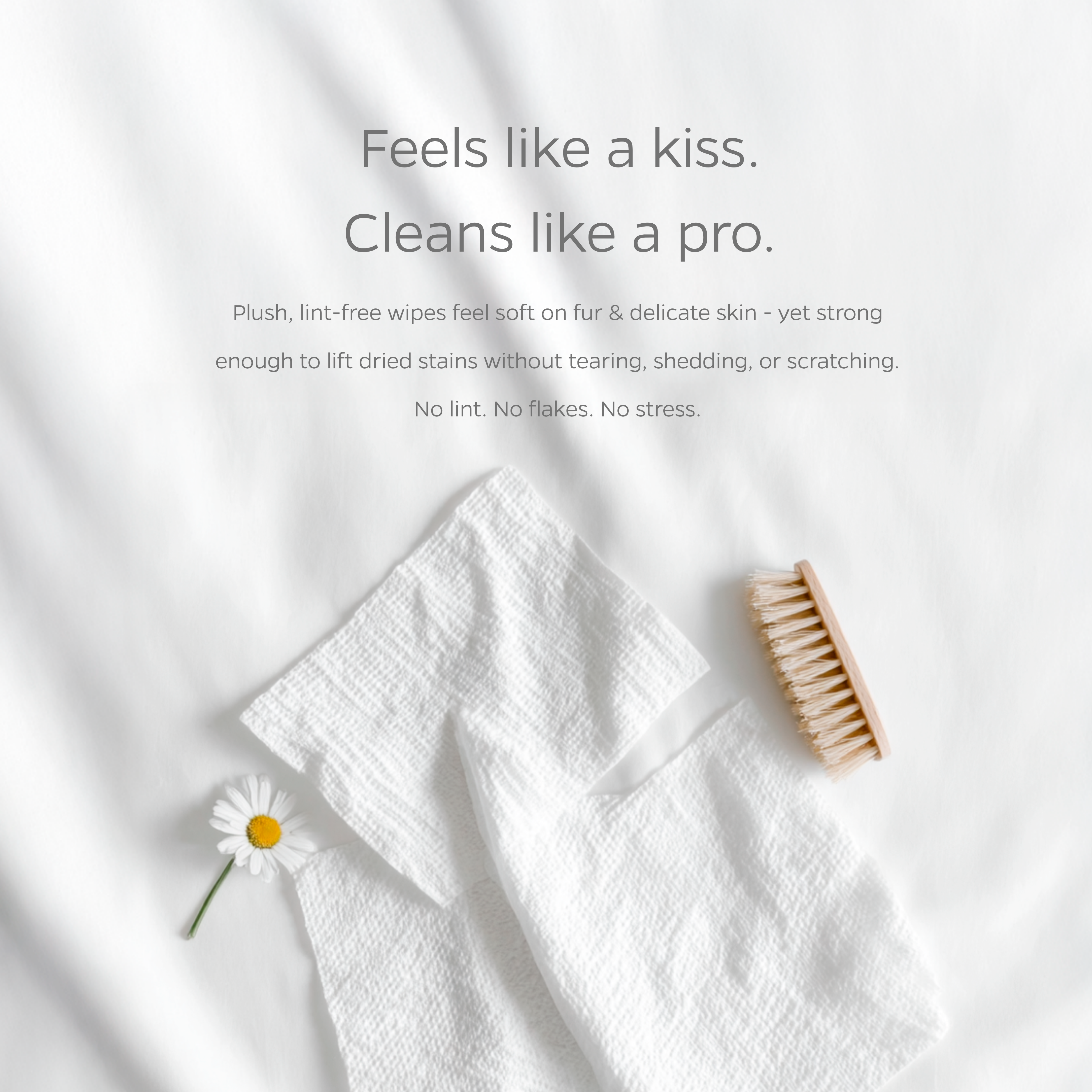 Pet Parents® - Wholesale Pet Grooming Tool - Dog - Pet WiPees™ Eye Wipes for Dogs and Cats, 100ct4