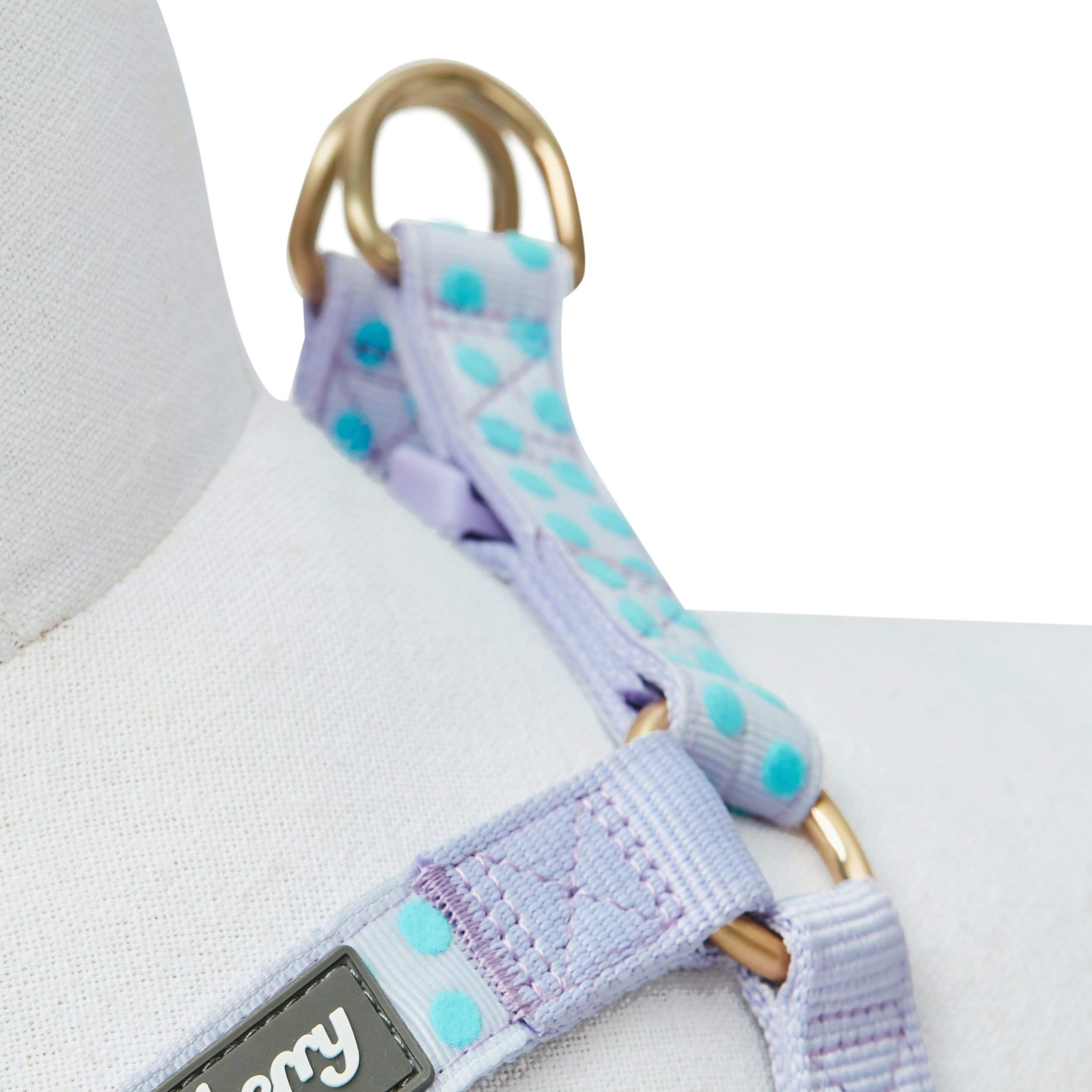 Blueberry Pet - Vente Harnais – chien - Harnais floqué à pois en velours pour chien10