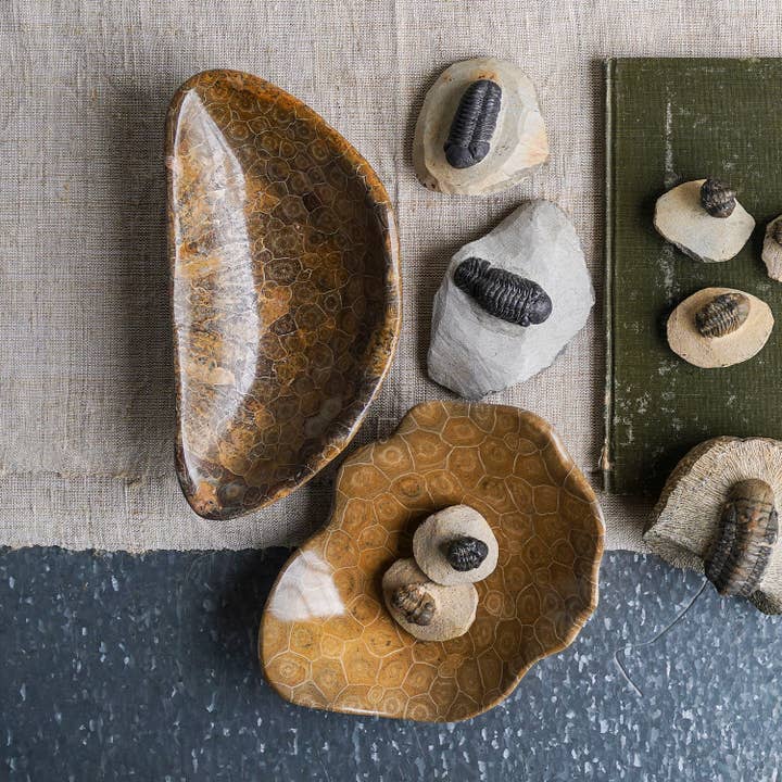Blue Ocean Traders - Wholesale Decorative Plate/Dish/Bowl - Coral Fossil Bowl