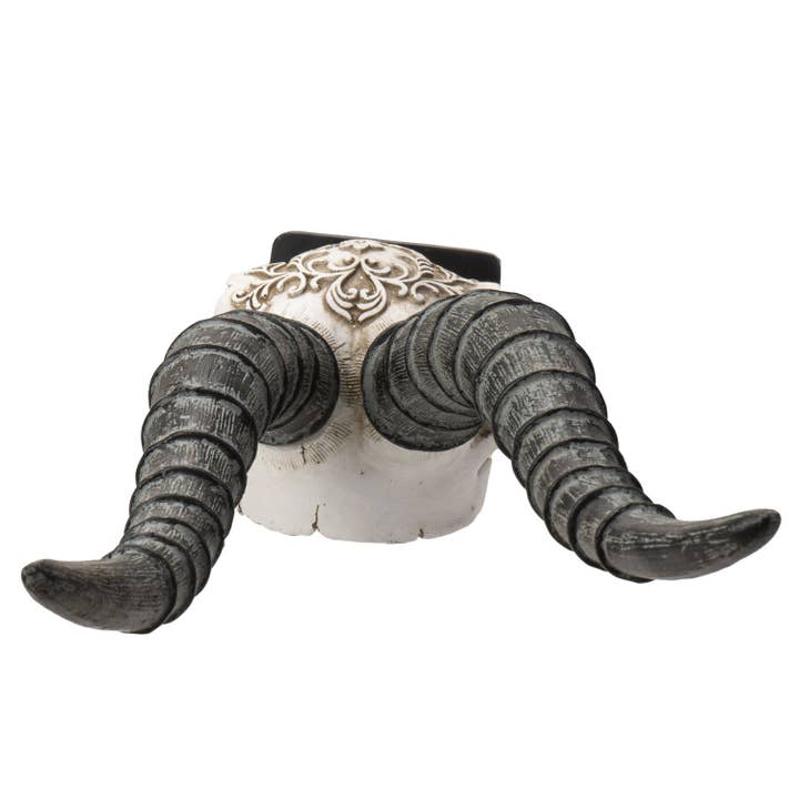 Pacific Trading – Estatueta decorativa por atacado – Crânio Decorativo de Órix Africano Entalhado5