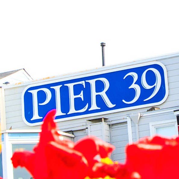 Pier 39 Sign Sign Ceramic Coaster for wholesale by South Austin Gallery