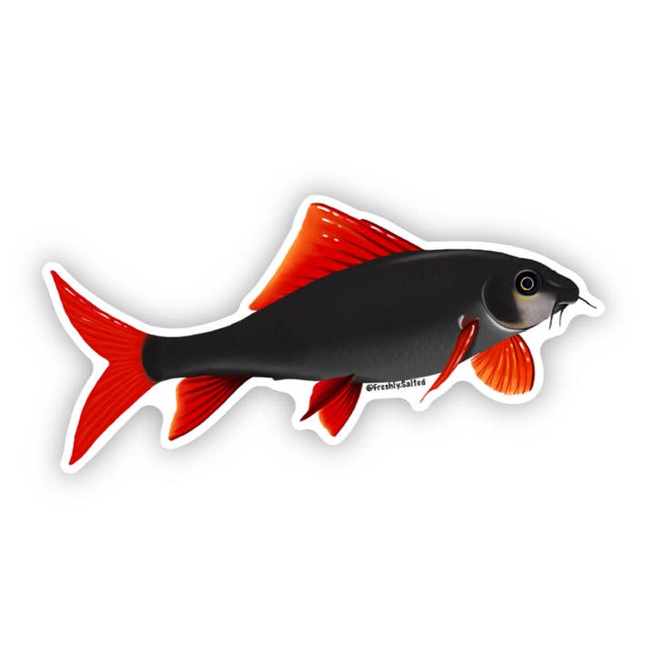 Rainbow Shark klistermärke för wholesale av Freshly Salted LLC