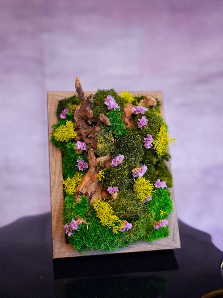 Parete di Muschio Tela della Natura per la vendita all'ingrosso da parte di TERRART NYC