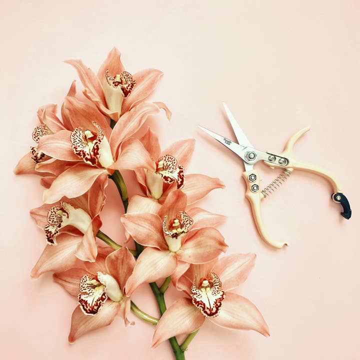 Jungle Club - Wholesale Garden Tool - Pruning Shears | Vanilla6