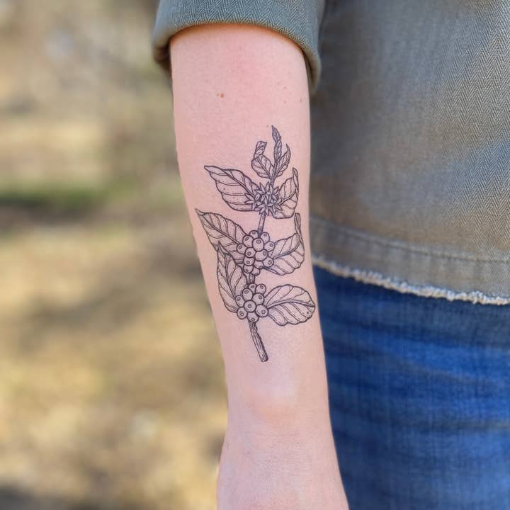 NatureTats - Wholesale Temporary Tattoo - Coffee Plant Temporary Tattoo