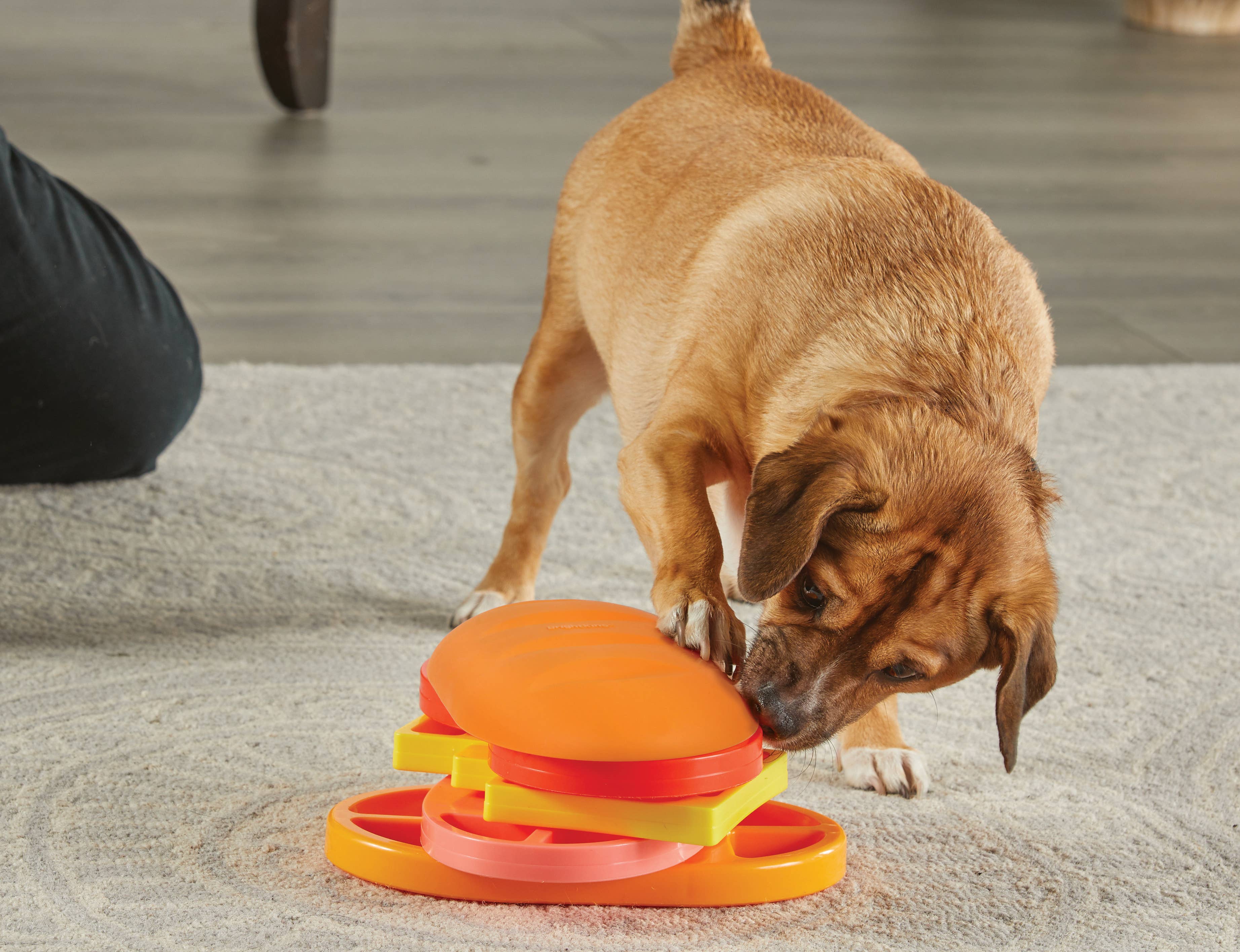 Hunger for Words and Brightkins - Wholesale Pet Toy - Dog - Brightkins™ Pupstrami Treat Puzzle2