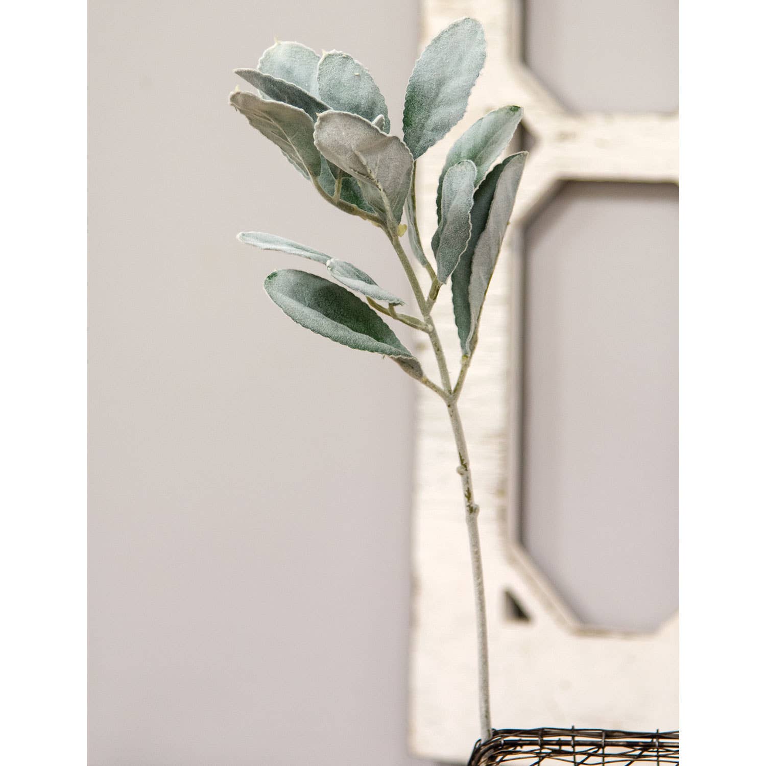 Col House Designs - Wholesale Artificial Plant - Frosted Lamb's Ear Pick1