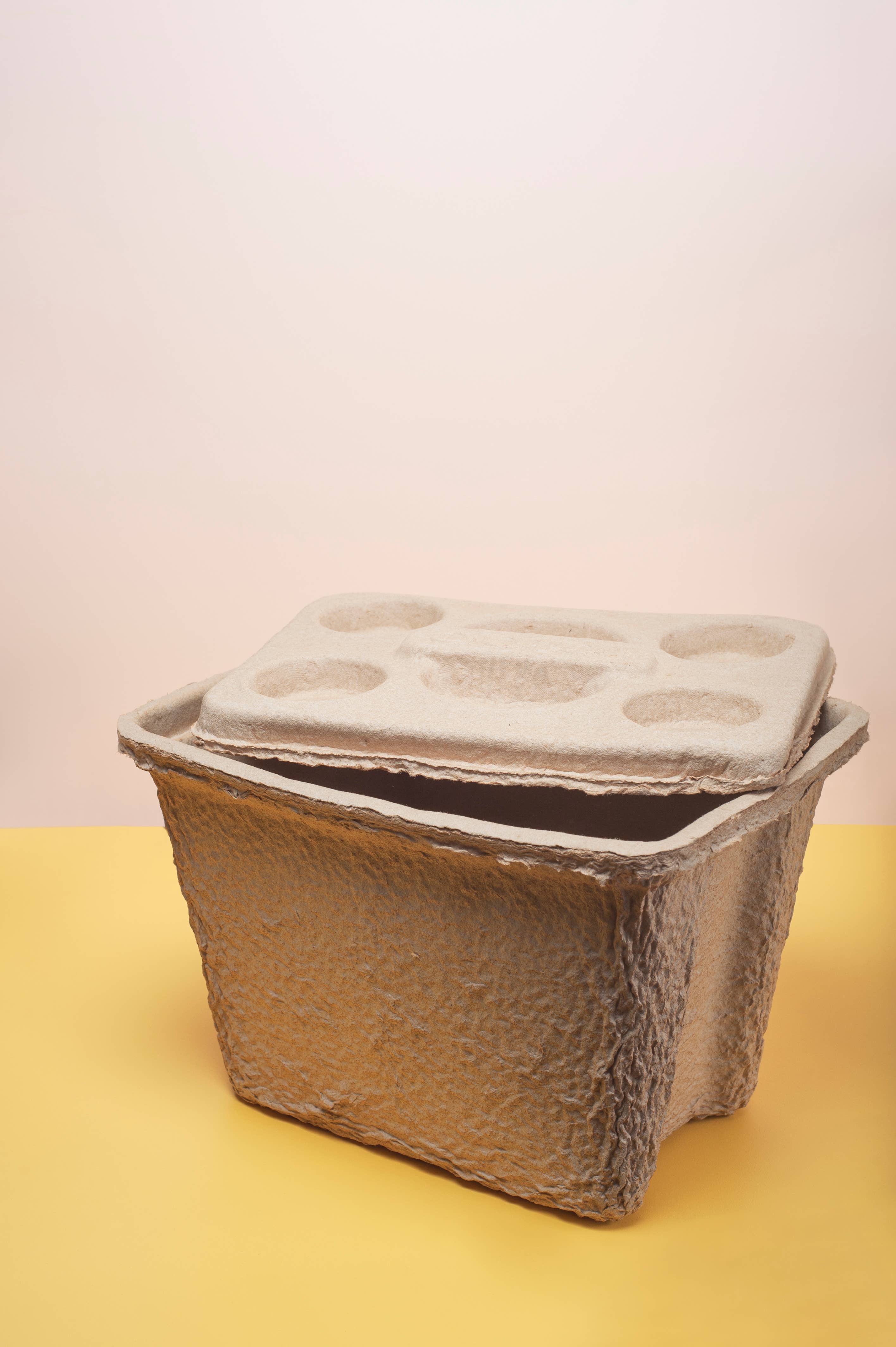 Never on a Monday - Wholesale Cooler/cooler bag - ESKY - IGLOO BIODEGRADABLE REUSABLE COOLER - 15 LITRE6