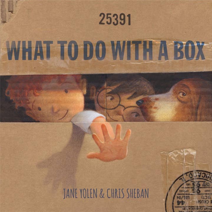 Chronicle Books - Wholesale Preschool Book (3-5) - What to Do with a Box