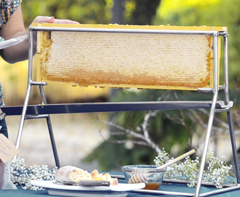 Pure Southern Honey - Wholesale Honey - Whole Wooden Honeycomb Frames (3)2