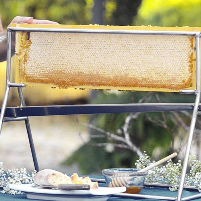 Pure Southern Honey - Wholesale Honey - Whole Wooden Honeycomb Frames (3)2