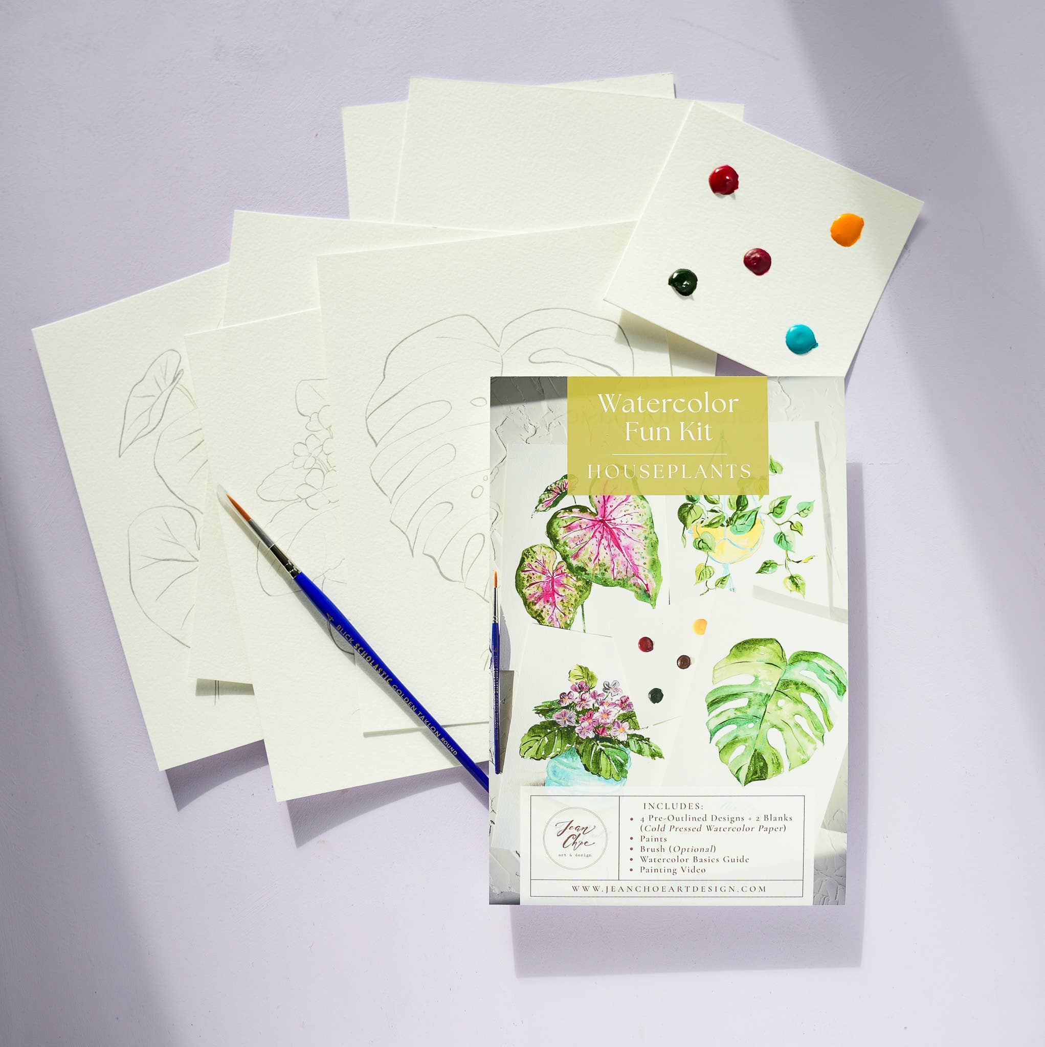 Jean Choe Art & Design - Wholesale DIY Craft Kit - Houseplants Watercolor Painting Kit with Paint & Brush11