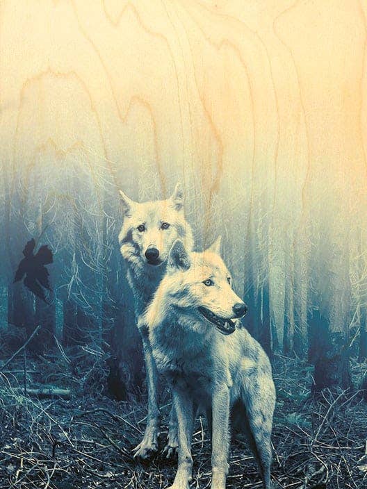 HOUTEN ANSICHTKAART DIEREN WITTE WOLVEN voor wholesale door Hironwoods