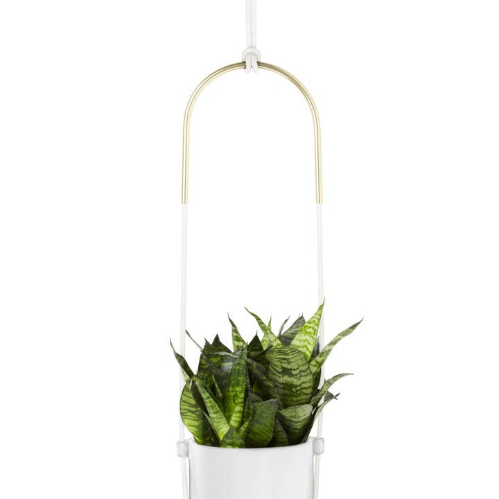 Black Bolo Hanging Planter for wholesale on Faire