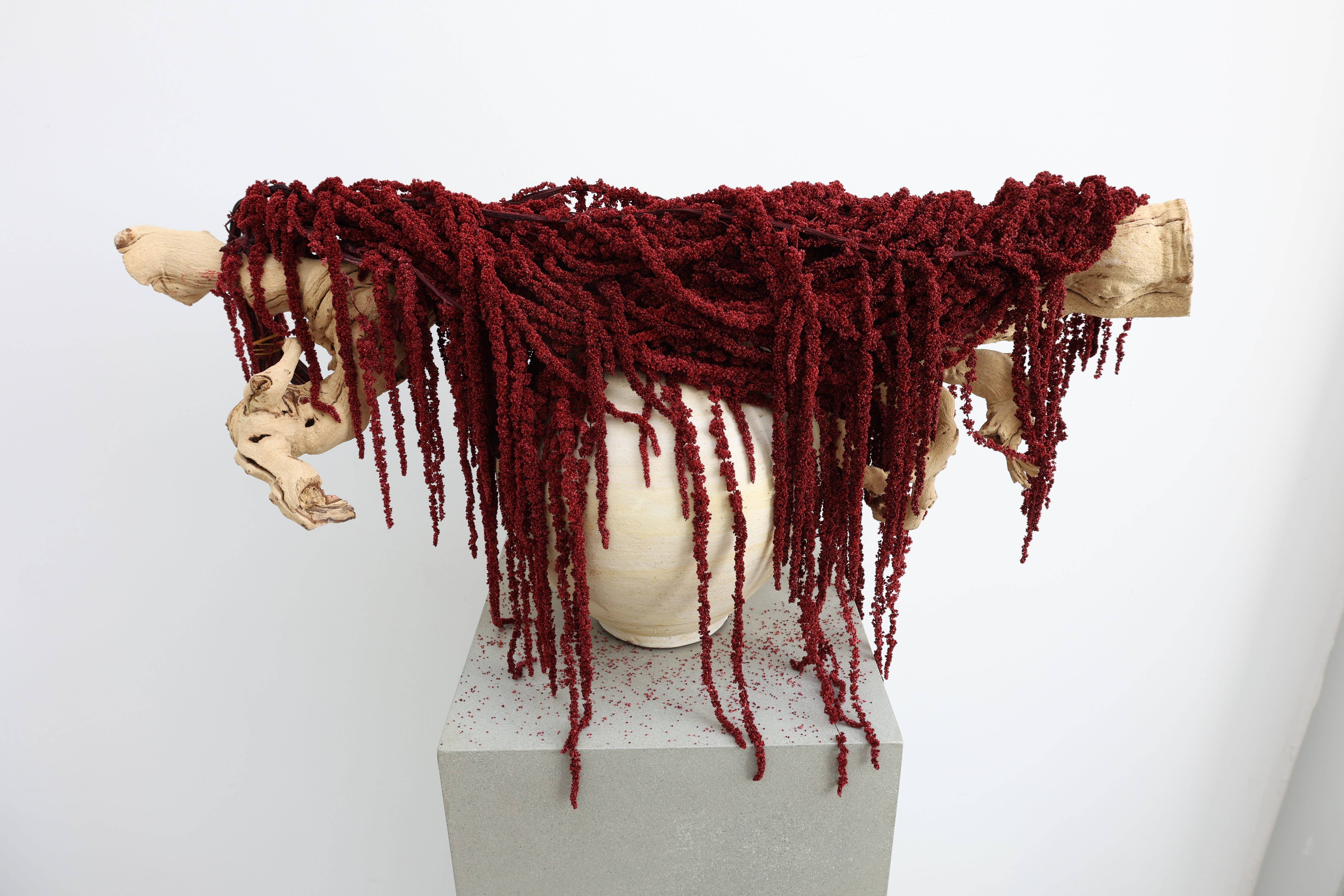 FlowerFantaSee - Vente Fleur séchée/pressée - Amarante préservée rouge profond1