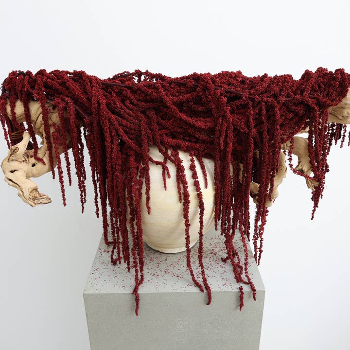 FlowerFantaSee – wholesale Torkade/pressade blommor – Djupt Röd Konserverad Amarant1