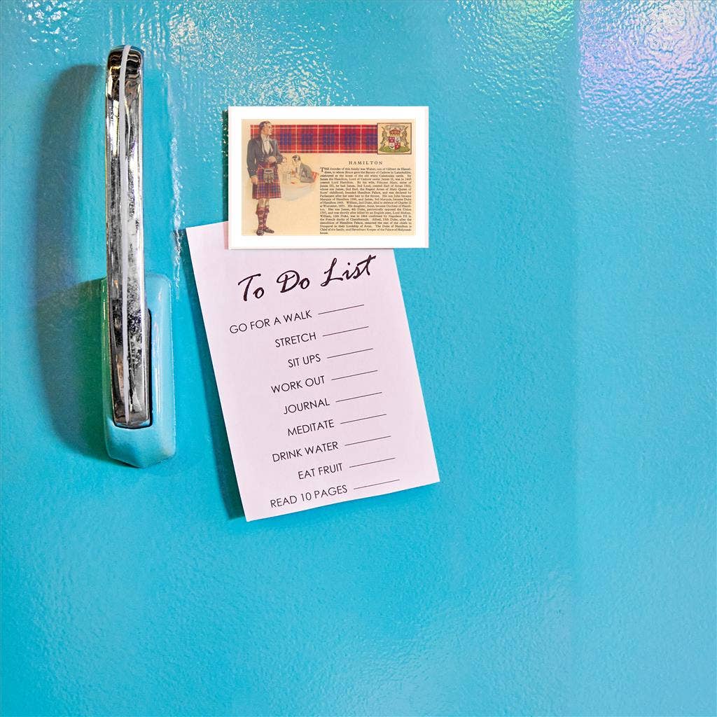 Found Image Press - Wholesale Magnet - Magnet EN-427 History of Hamilton Family1