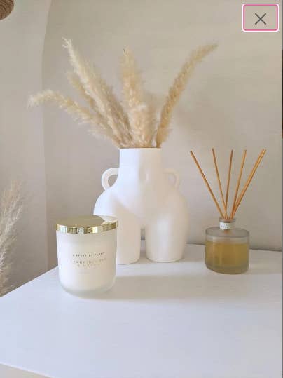 23cm Bum Vase, Cheeky Vase, Love handle Vase, Booty Vase for wholesale by NewChapterNewHome