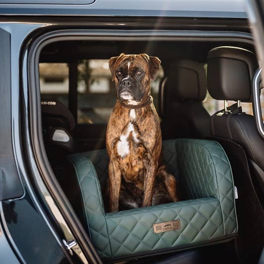 Sedile auto eccellente per la vendita all'ingrosso da parte di Dogstyler