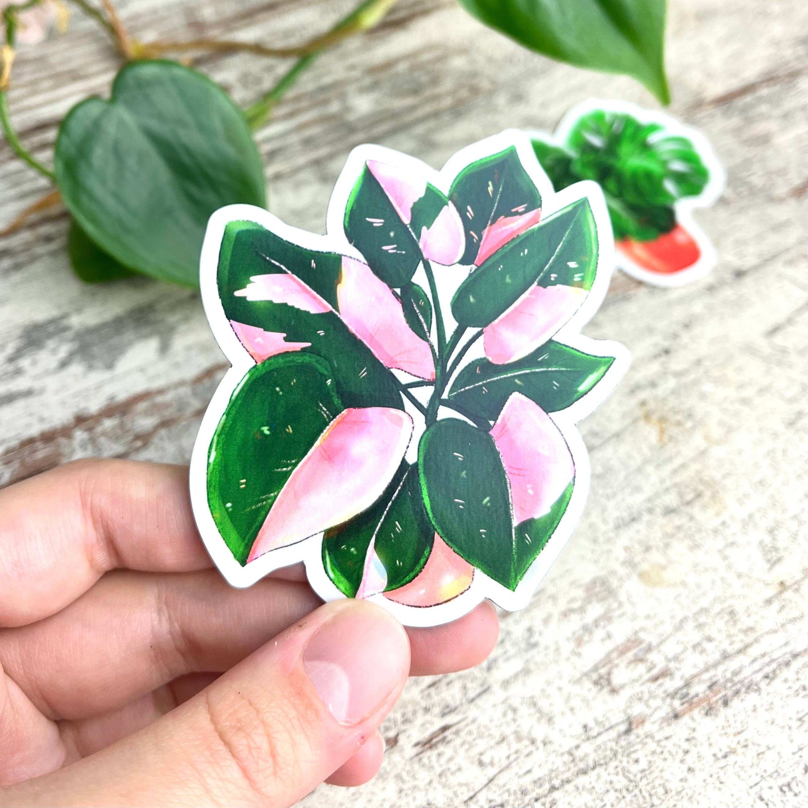plantyintroverts - Wholesale Magnet - Magnet - Philodendron Pink Princess pot2