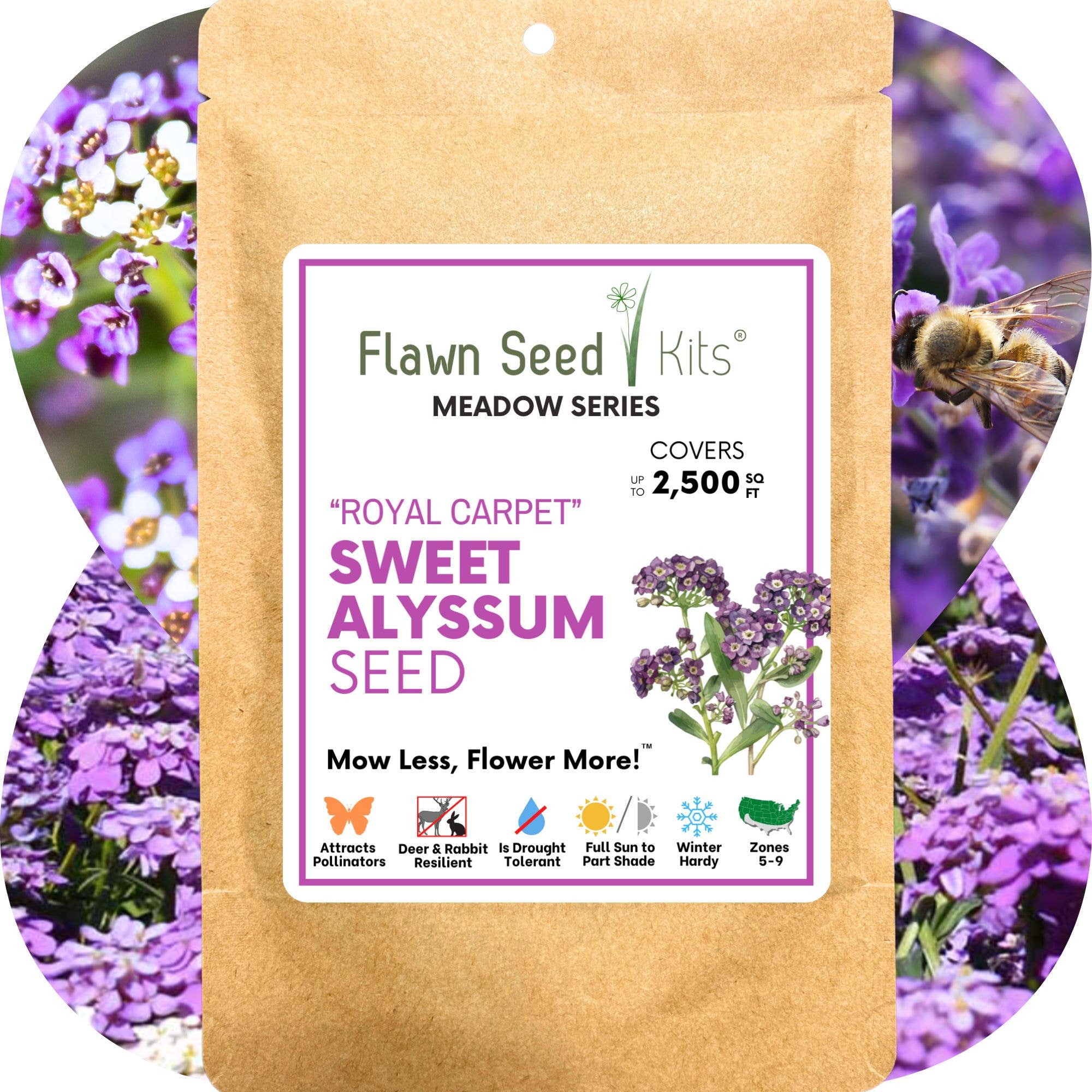 Flawn Seed Kits - Wholesale Plant Seeds - Sweet Alyssum Royal Carpet Seed Pouches7